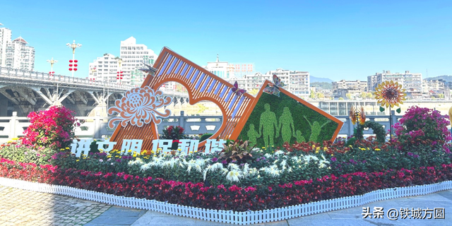 菊香满邵武！第二十届菊花艺术展惊艳绽放，邀你共赏秋韵