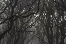 女子进哀牢山拍写真走红，网友：看着照片都已经害怕了！图片