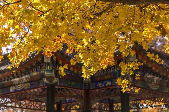 Deepseek和百度AI共同推荐北京红叶区：到北京旅游至少要去三个。