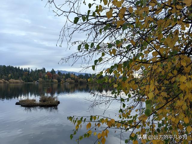 温哥华游记（一）