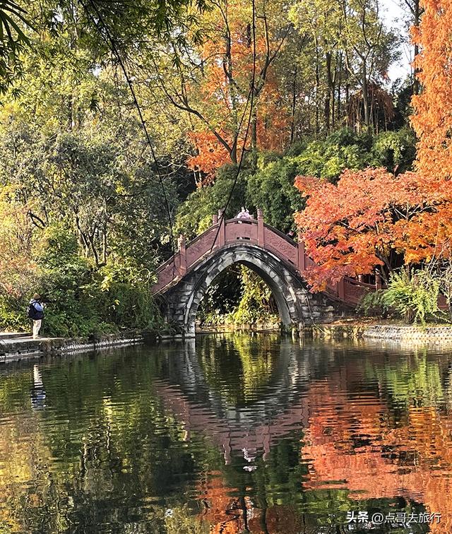 成都被私藏的彩林公园，流金溢彩，充满老城烟火气，地铁公交直达