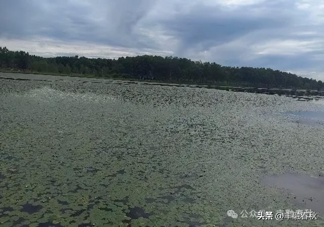 草原深处的太阳湖｜李 芳