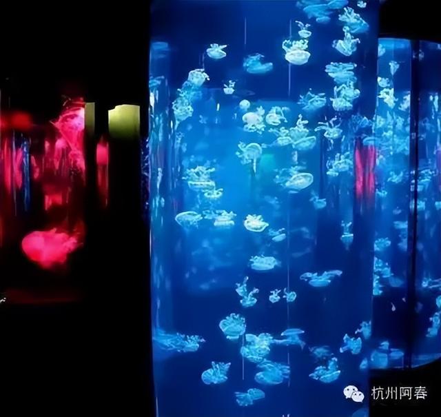 香港海洋公园