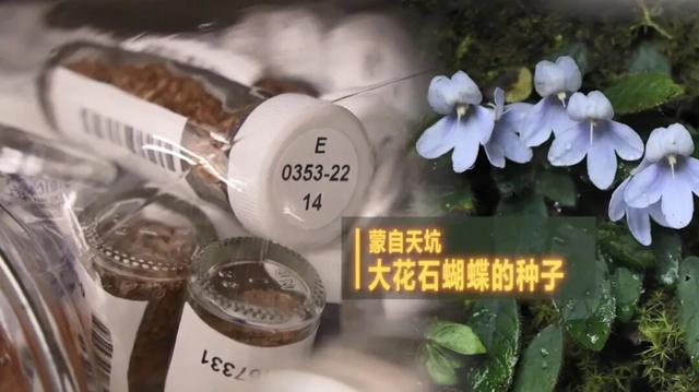 电影照进现实？中国给未来存上备份，打造野生生物的“诺亚方舟”