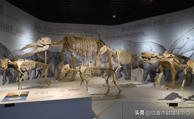 我想离开「浪浪山」，去临夏世界地质公园看看🥰