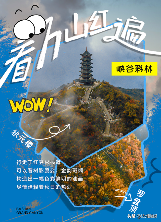 错过等一年！巴山大峡谷秋色刚开场，彩林已美成仙境！