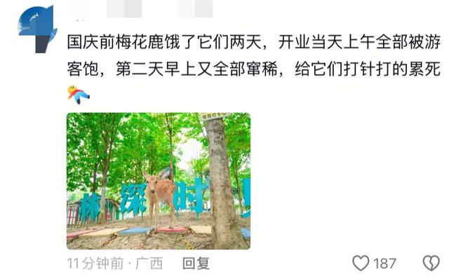笑麻了！国庆的动物们都吃出工伤了！一看评论区动物们都EMO 了