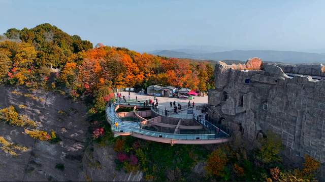 一般的拼豆我不拼，但你要说剑门关的拼豆我可感兴趣了！