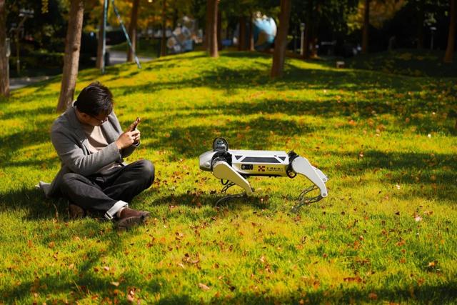 银杏翩跹,“AI上秋天”