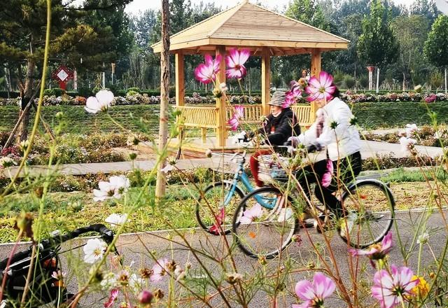 一个人骑车的早晨，才是成年人最顶级的放松方式，比躺平爽10倍！