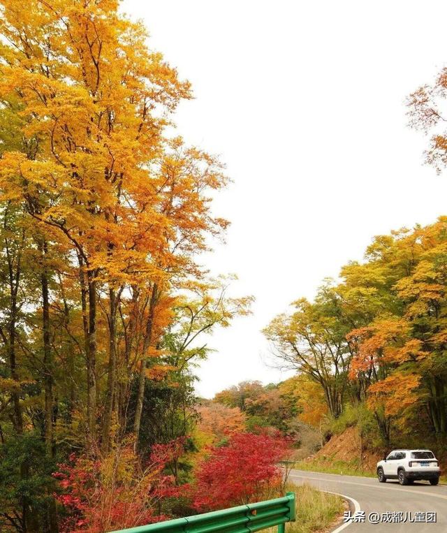 成都不远！这三个地方的红叶，美得很超过！