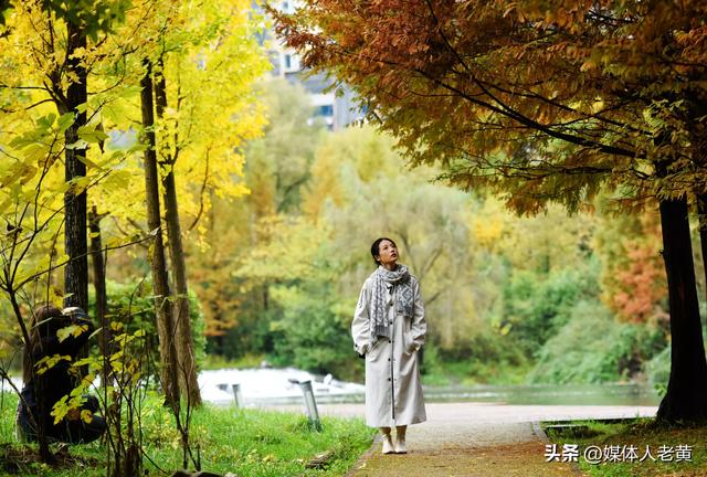 凉都六盘水银杏红叶点亮城市“金色童话”之约