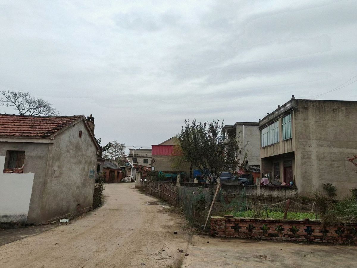 村庄中的“银发剧组”:平均年龄65岁,酬劳是零钱和鸡蛋