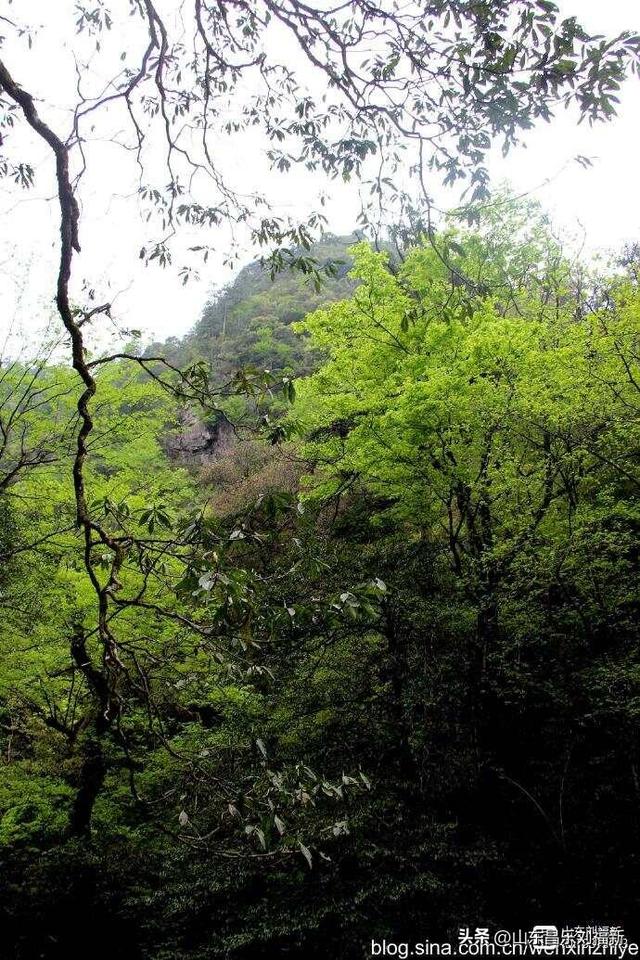水口景区小记（江西之旅第八十八篇）