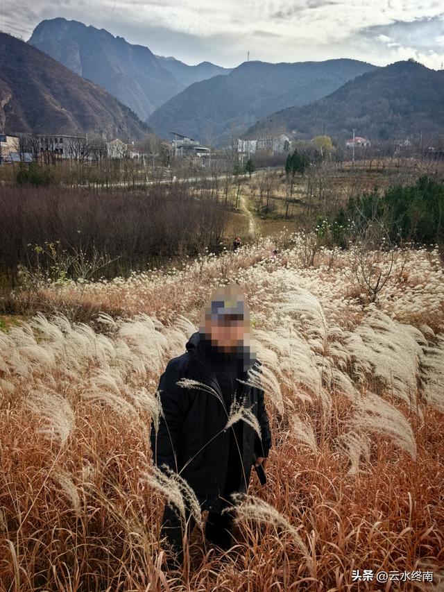 观山景看荻花，这里大概是蓝田最出片的地方了