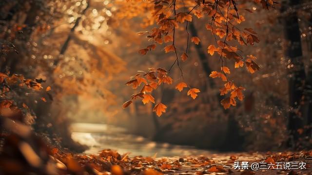 “冷不冷，就看八月初一	”，22号八月初一	，今年是极寒冷冬吗？