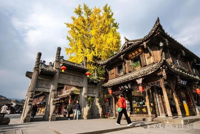 速来→崇州正上演初冬金色浪漫大片！