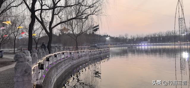 舜德花海新春嘉年华邀您共赏