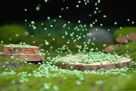 农资十大复合肥品牌及各品牌优劣势图片