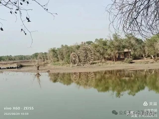 探秘新疆巴楚红海景区：自然与人文的交响｜ 申艳娟