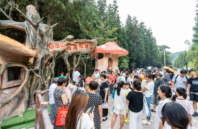 61万人次！四面山暑期旅游交出答卷