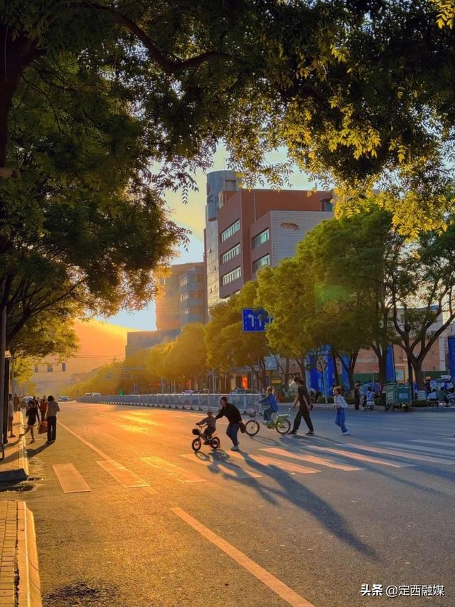 救命！临洮的夏天也太治愈了吧～