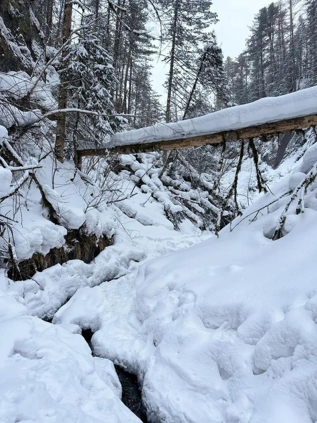 走，去长白山峡谷浮石林，踩最野的雪！看最奇的景！