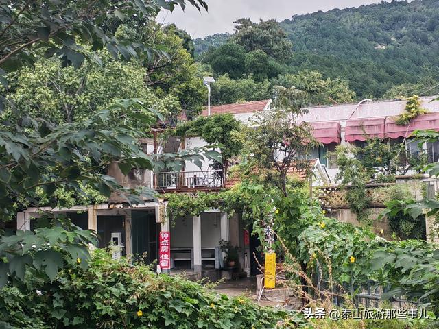 泰安：一场秋雨后，在虎山步道遇见了泰城最静的秋，而心则更静