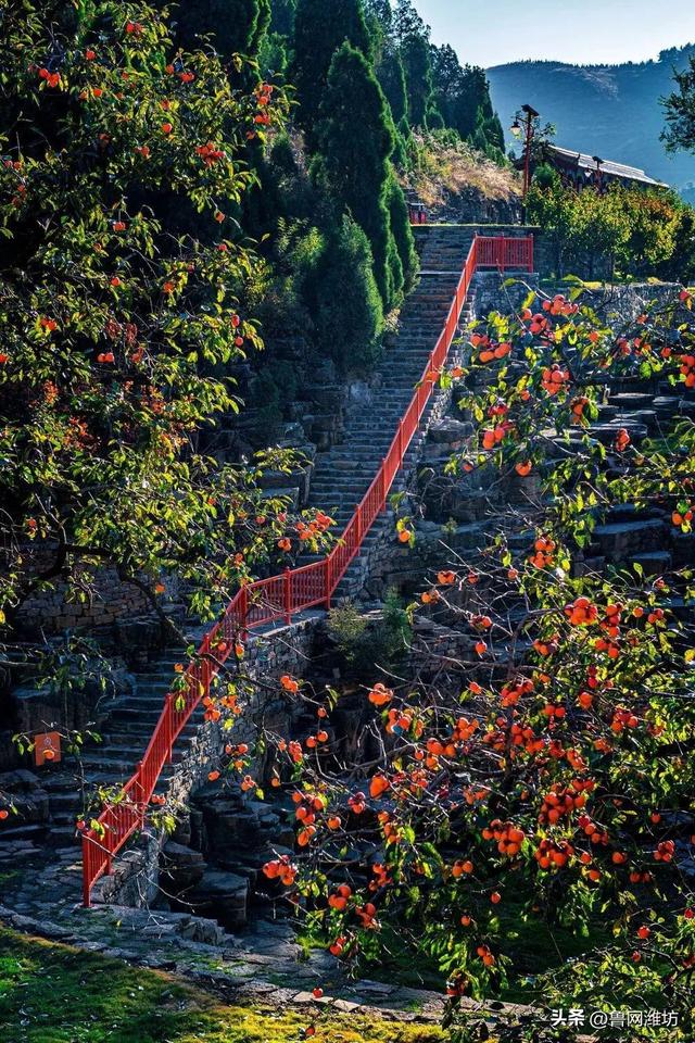 秋天的潍坊，是谁惊艳你的朋友圈？