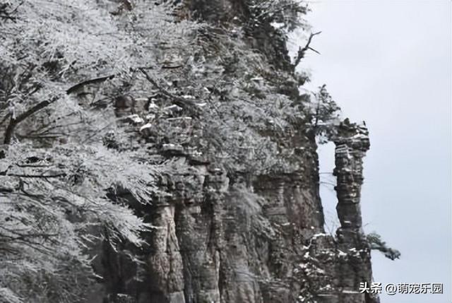 湖北冬日魔法表演，恩施大峡谷雪景如仙境，那抹雪白你在哪遇见的