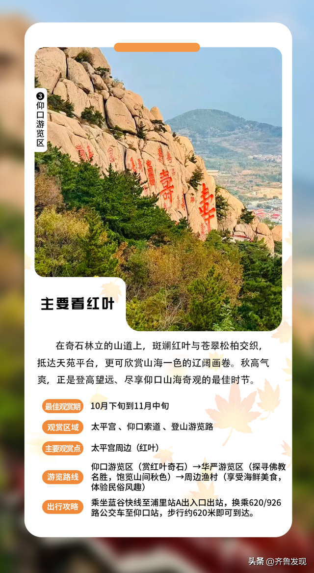 乘着地铁逛青岛丨神清宫350岁古树红了， 坐地铁去“打卡”特方便