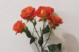 女人在微信上给你发“爱心”表情，是什么意思图片