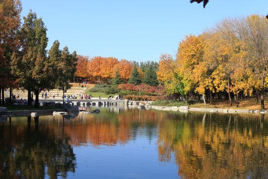 去了趟河南，忍不住想说：别轻易往开封跑，除非你摸透了这些门道