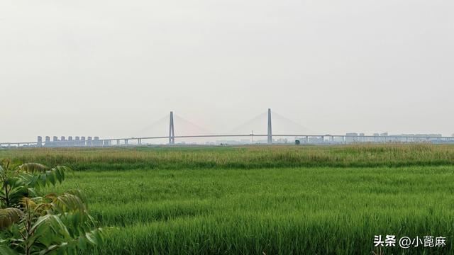 我的228 旅行日记 6——D14-15 盖州-营口