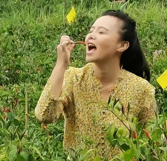 离婚10个月后，龚琳娜自曝和丈夫离婚内幕，原来对方喜欢奥地利的