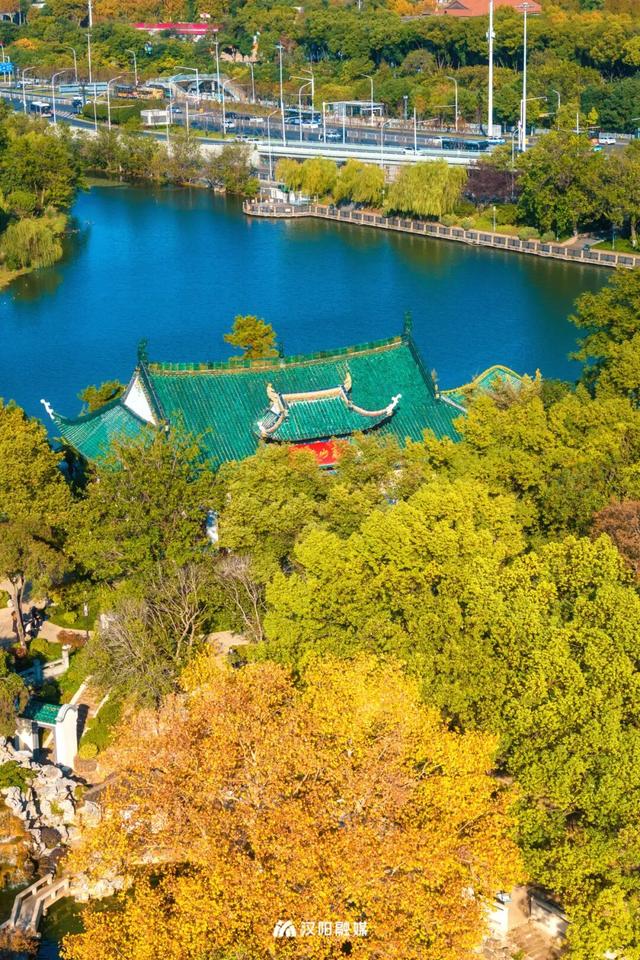 546岁的她过生日！万余市民来汉阳排起长队