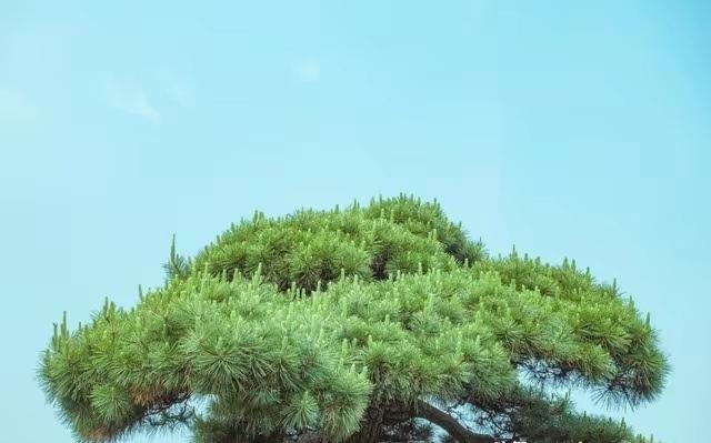 两性关系：男人过65岁，基本上都会有如下现状，具体表现是这样的