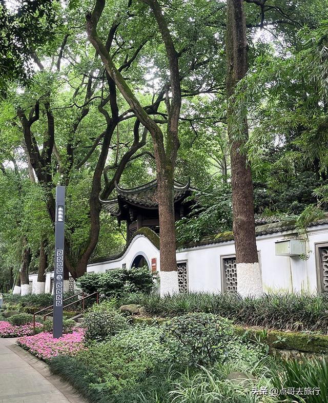 成都市内乘凉公园，风景秀美、清凉，不要门票，地铁公交可达！