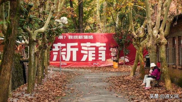 悦·遵义丨是心动呀！遵义，你这么好看！