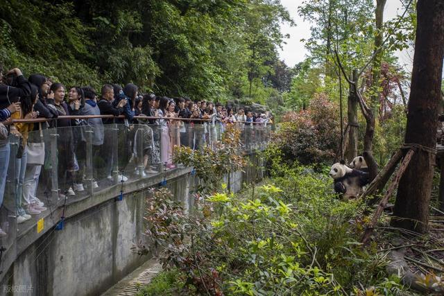 成都必去十大景点排行榜，这才是成都最值得去的10个景点，收好！