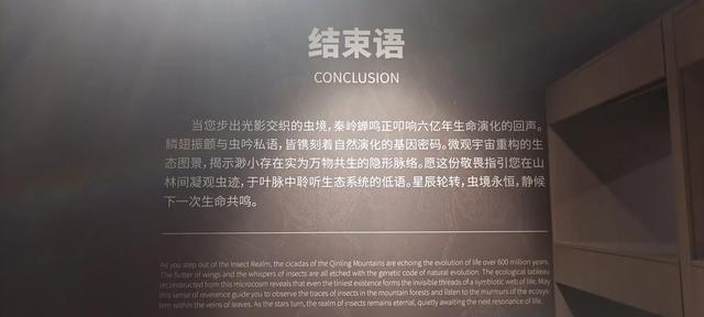 西安长安云昆虫展你来了吗