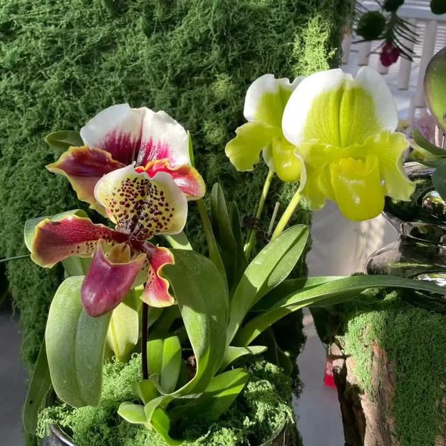 出门冻手冻耳朵！丰台室内去哪儿最温暖，戳——