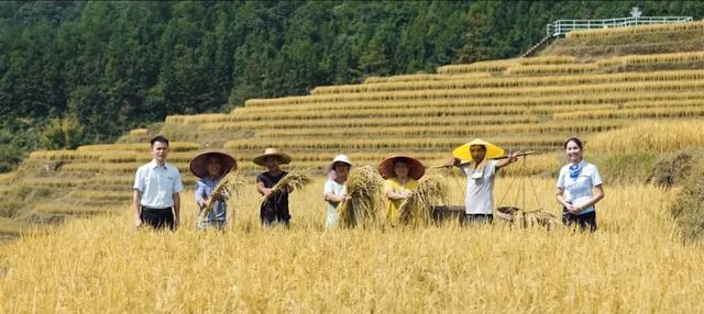 在连山，如何让一片梯田重获新生