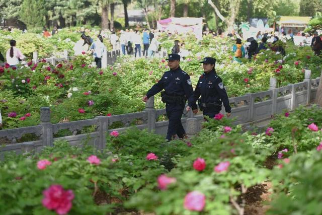 护航牡丹文化节丨黑的白的红的黄的紫的绿的蓝的