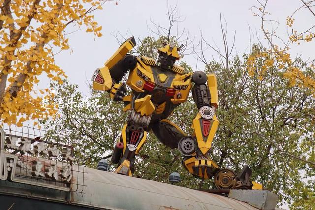 浙江宁波的水景公园，不仅是露营的好去处，还是银杏乌桕观赏胜地