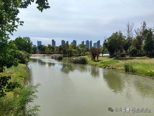 浙南最大的乡镇湿地公园原来在这里！