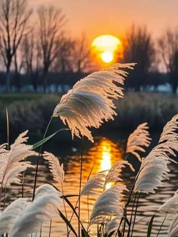 秋日邂逅，开启浪漫诗意之旅