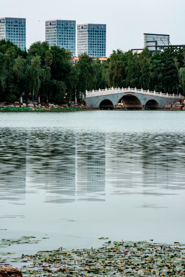 济宁周边踏青赏花全攻略！一眼沦陷整个春天！