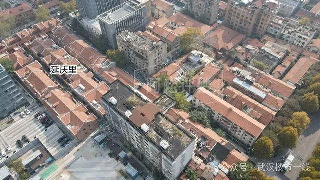 彻底出圈！武汉新增一个免费网红打卡地！