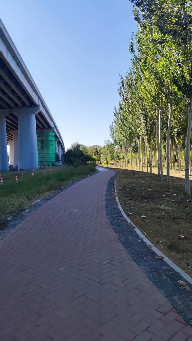 包头，溜达昆都仑河公园、湿地公园、赵长城遗址、昆都仑召、蓝伽